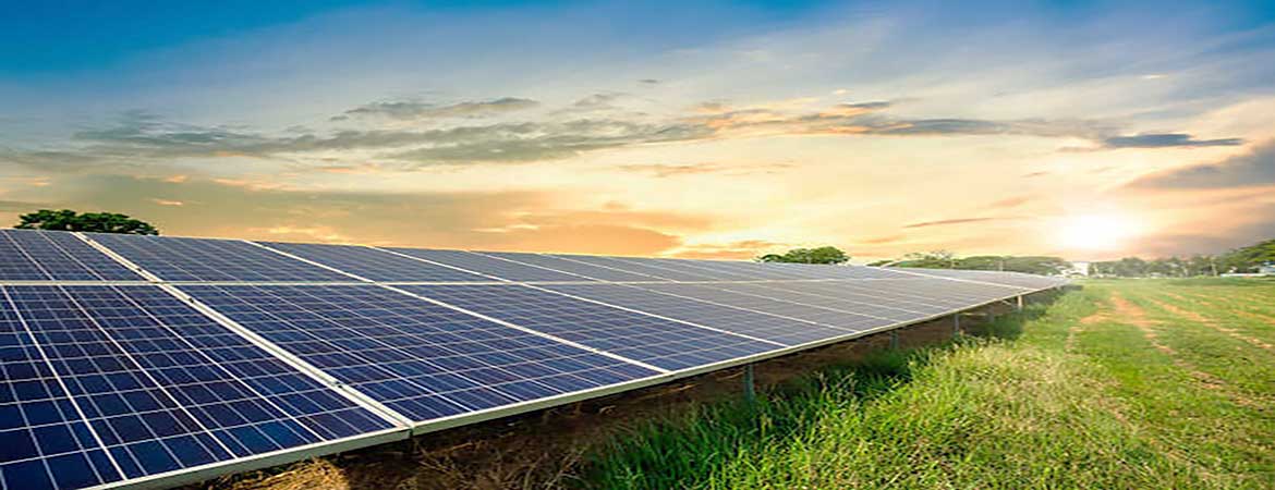 Solar panels in the field