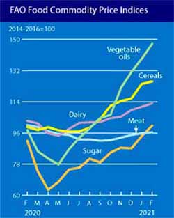 Rast cena hrane u svetu